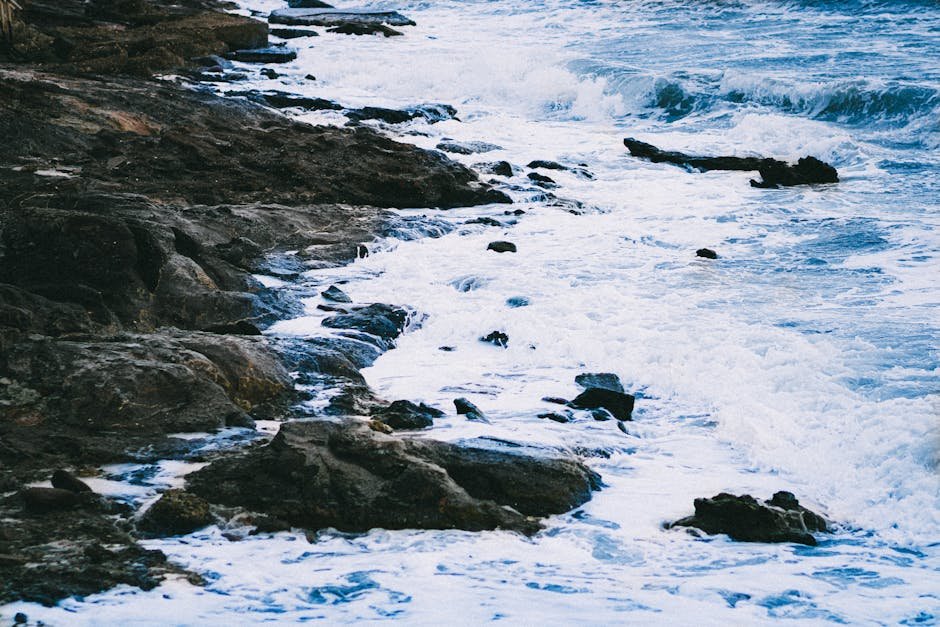 Tidal Changes and Marine Life