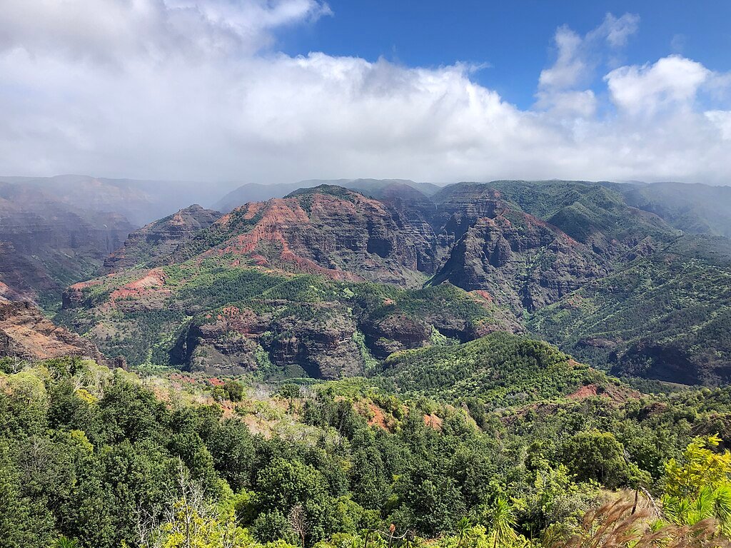 Hawaii Ecosystem