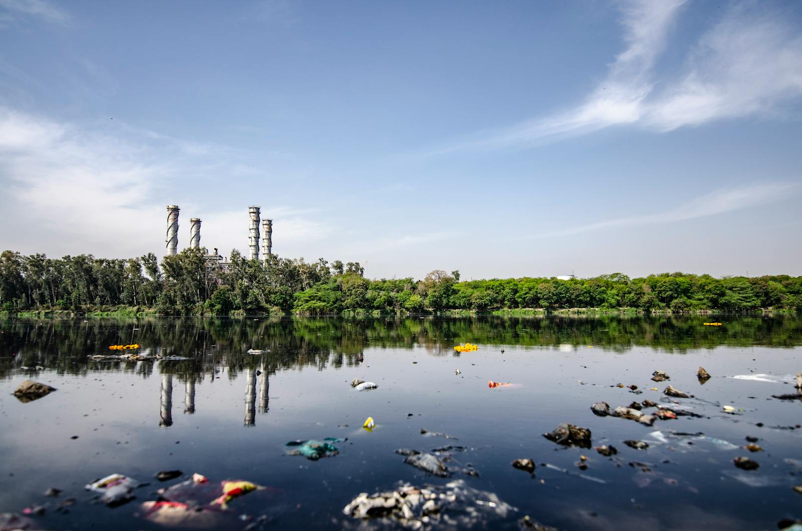 How Plastic Pollution Is Changing Marine Ecosystems