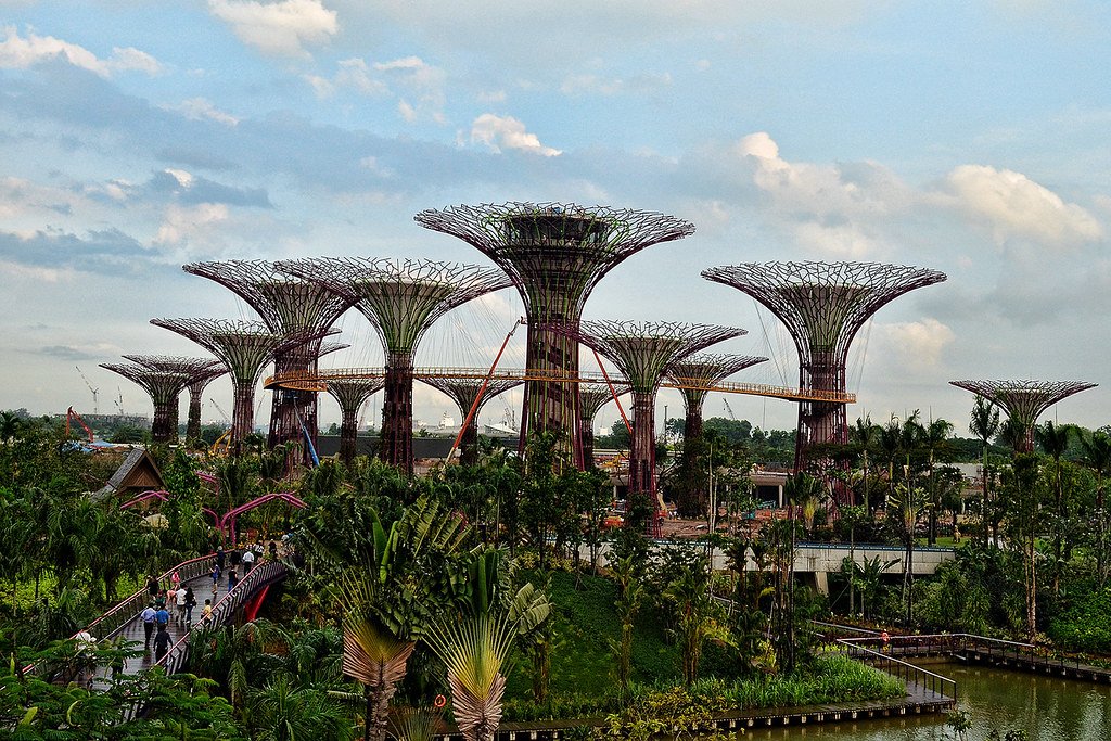 Singapore Supertree Grove