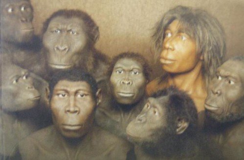 The different faces of each human evolution.