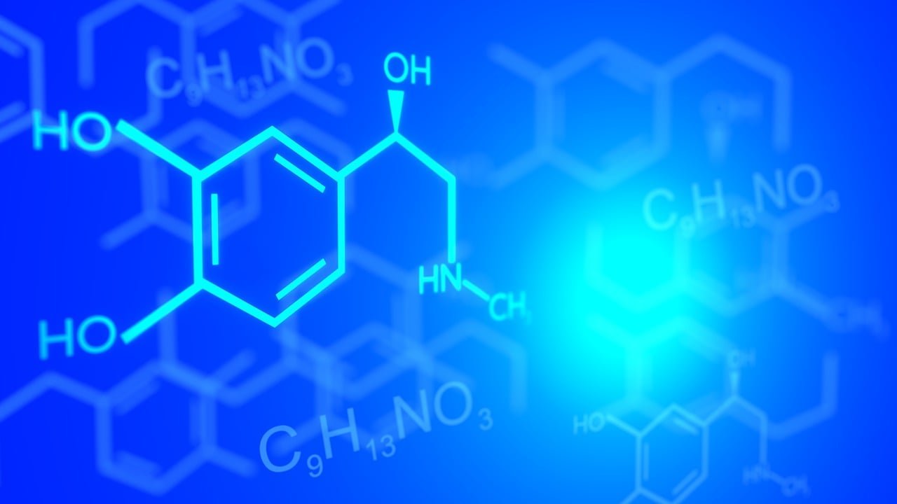 The Discovery of Antibacterial Compounds by Dr Dorothy M Crowfoot Hodgkin