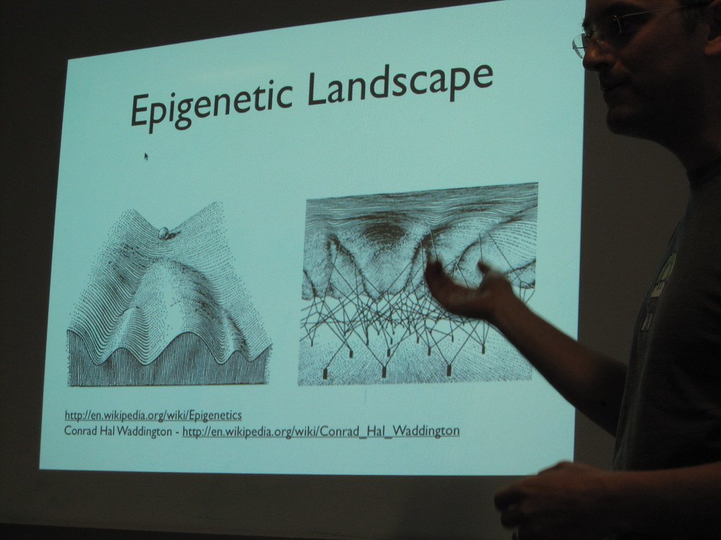 Epigenetics, DNA