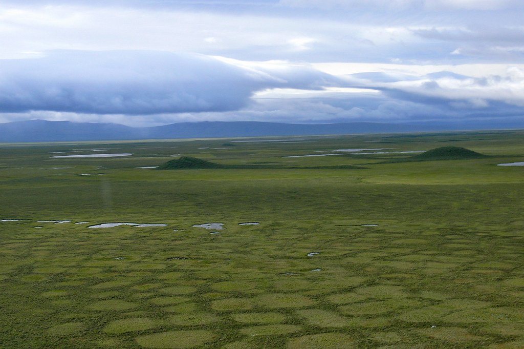 Tundra Polygons and Pingos