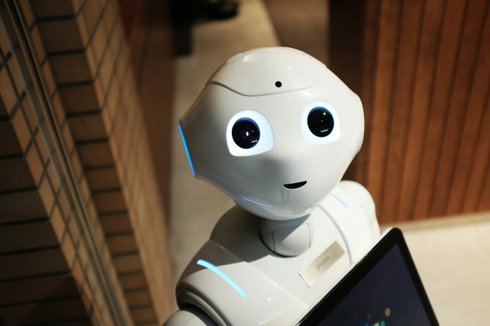 The Role of Robots in Habitat Restoration Projects
