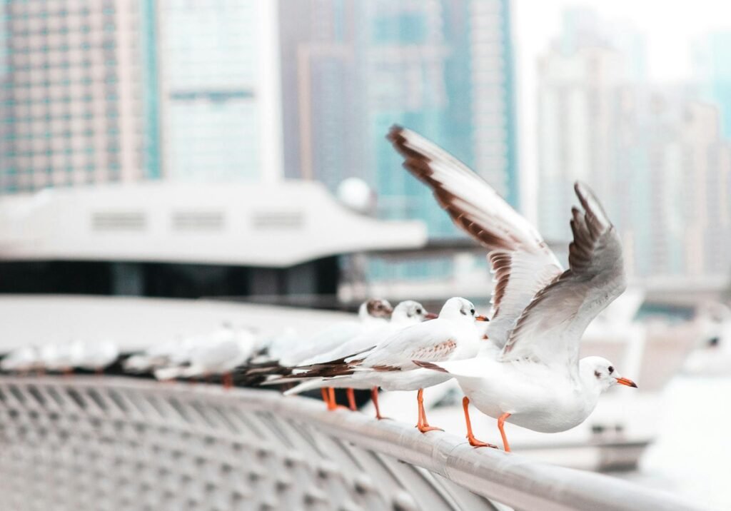 White seagulls resting on a city railing with a blurred skyscraper backdrop.