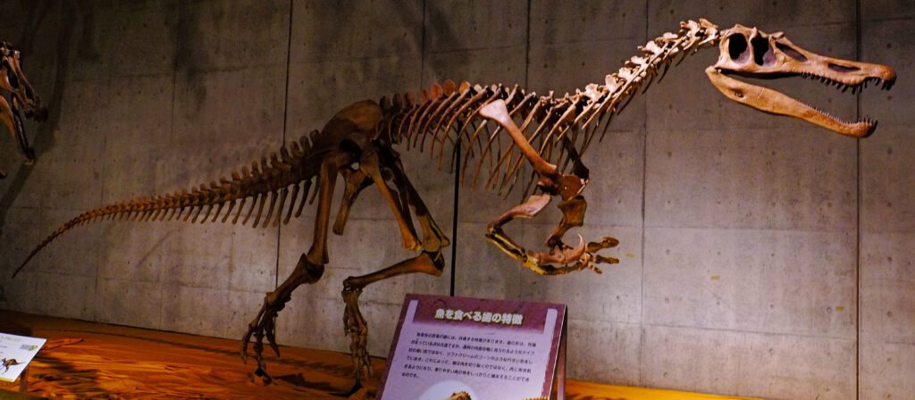 Baryonyx dinosaur prehistoric creature
