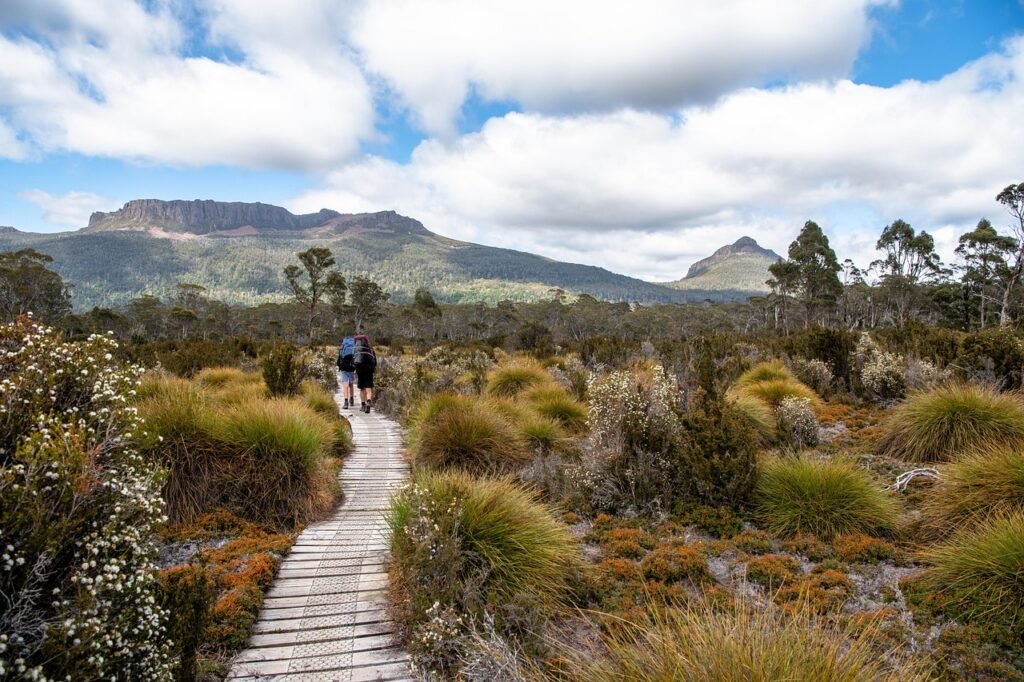 Tasmania's nature and landscape.