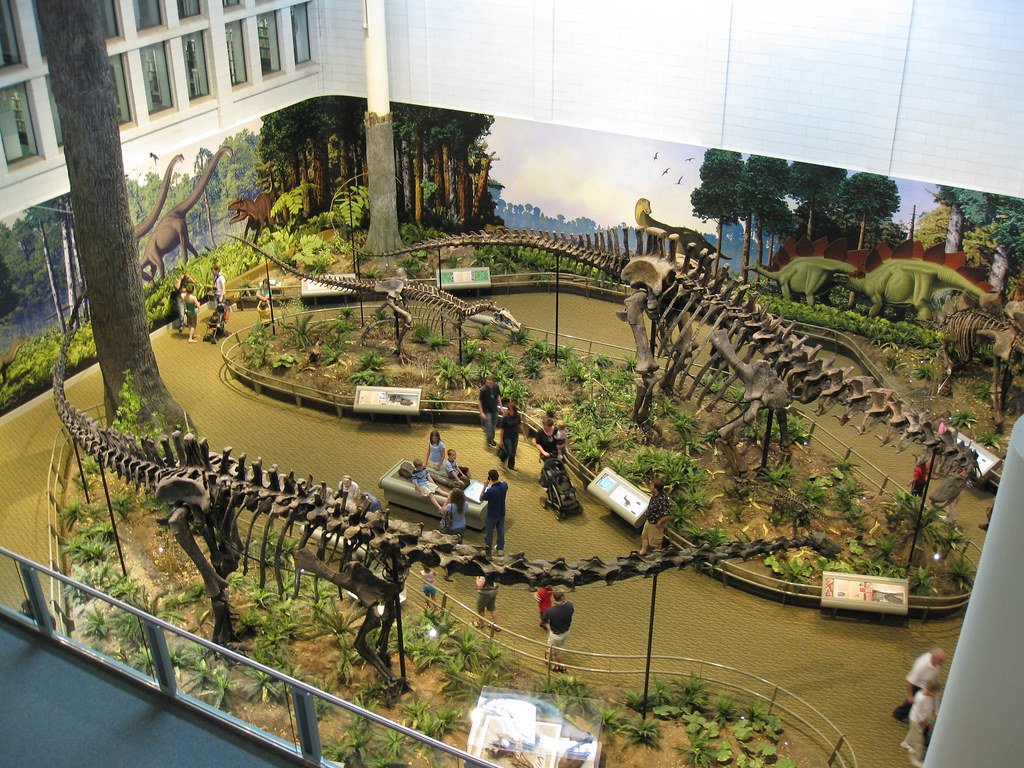Dinosaur era