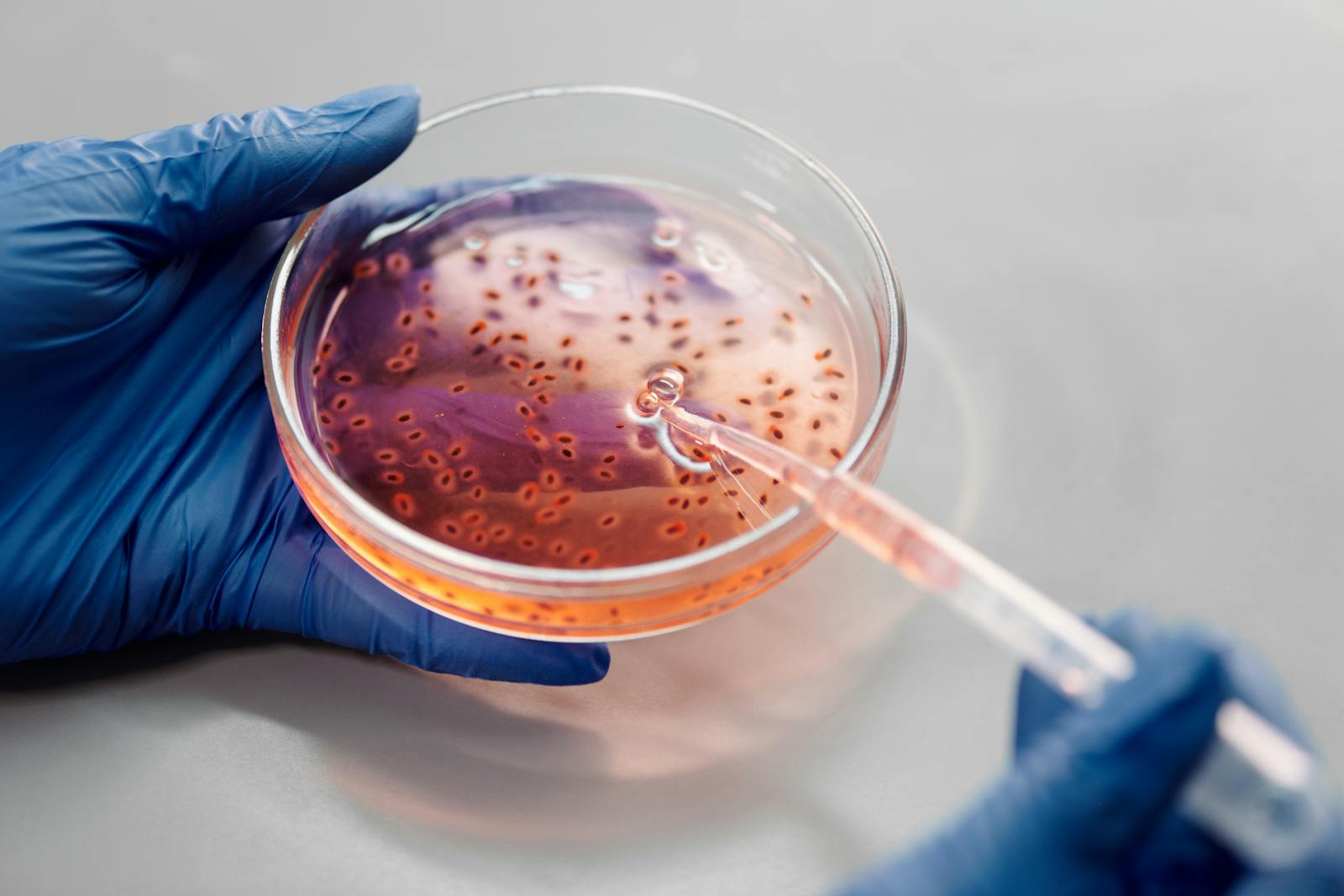 Biotechnology in Biowarfare The Unseen Threat of Engineered Pathogens