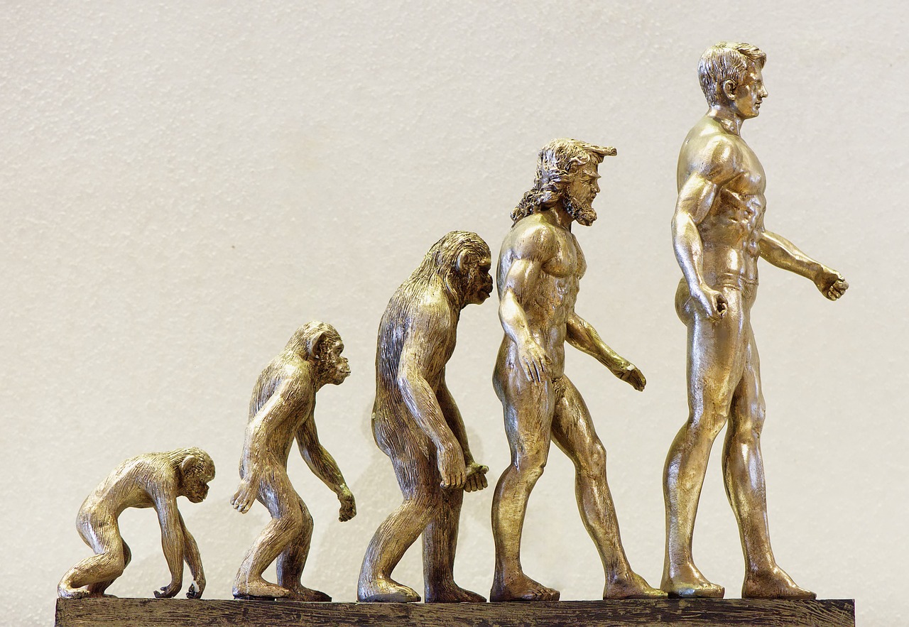 The Strange Evolution of Bipedalism Why Humans Walk on Two Legs