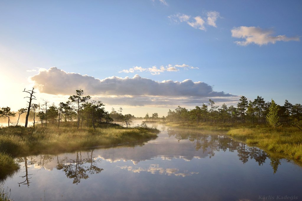Sunrise in Great Kemeri Bog, Latvia.
