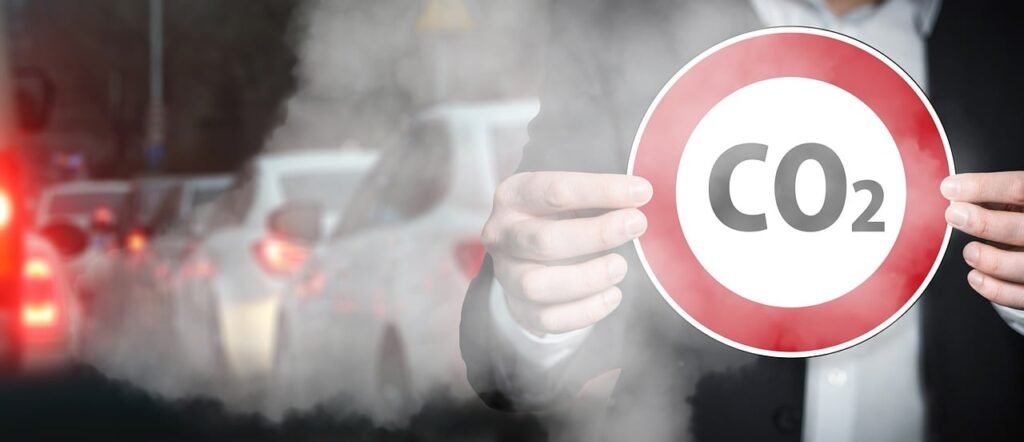 Person holding CO2 sign with traffic and smoke in the background