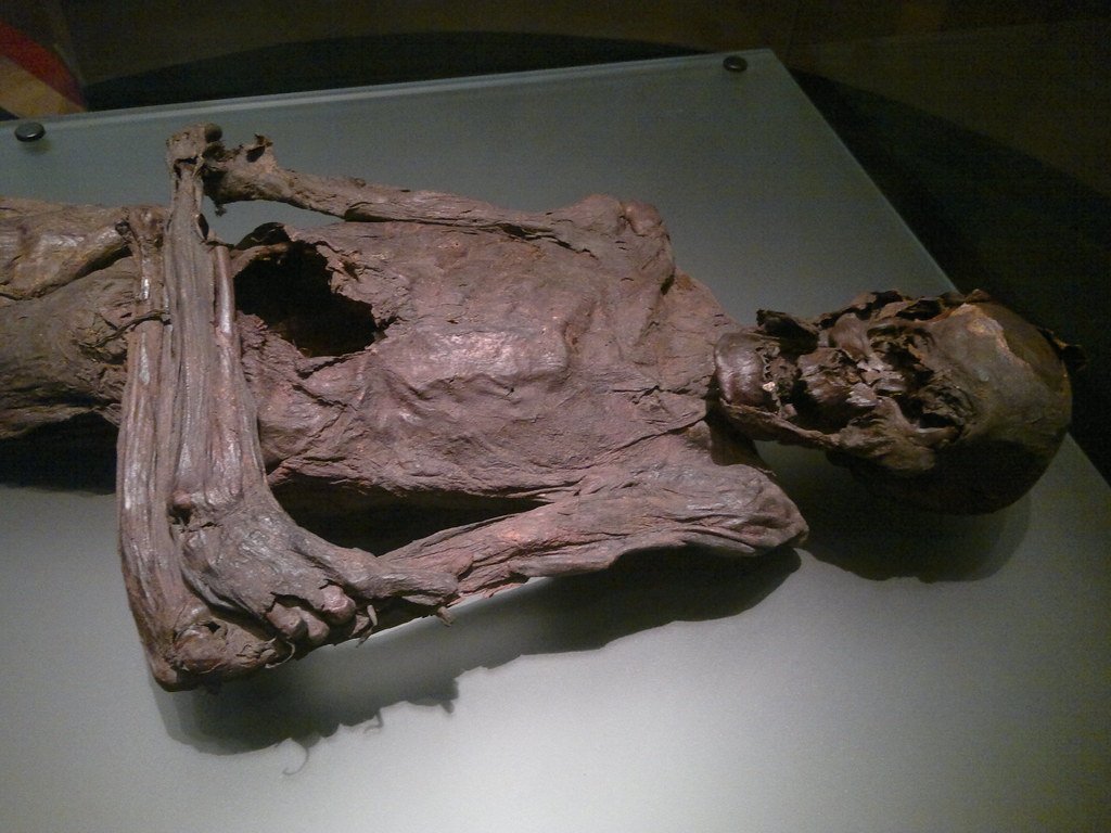 Clonycavan Man at the National Museum of Ireland, Dublin.