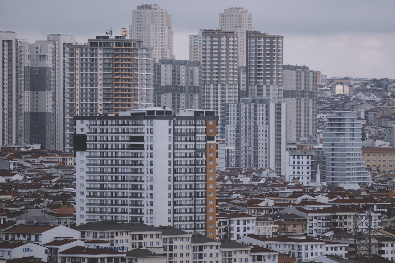 25 Ways Urbanization Is Impacting Natural Ecosystems