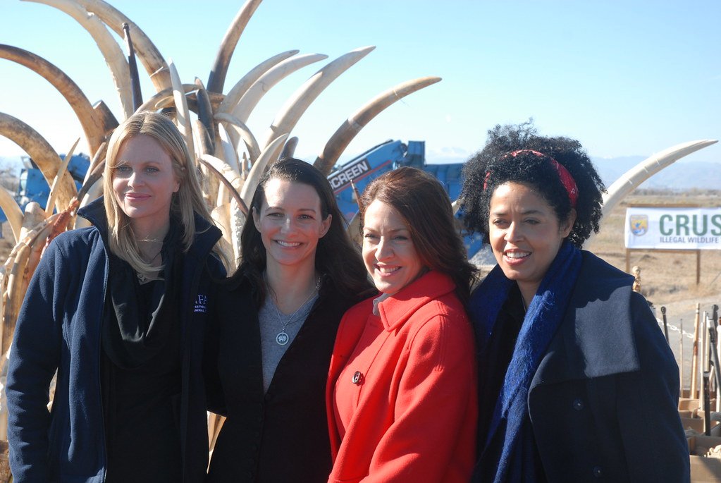 Celebrities show support for wildlife conservation at the U.S. Ivory Crush.