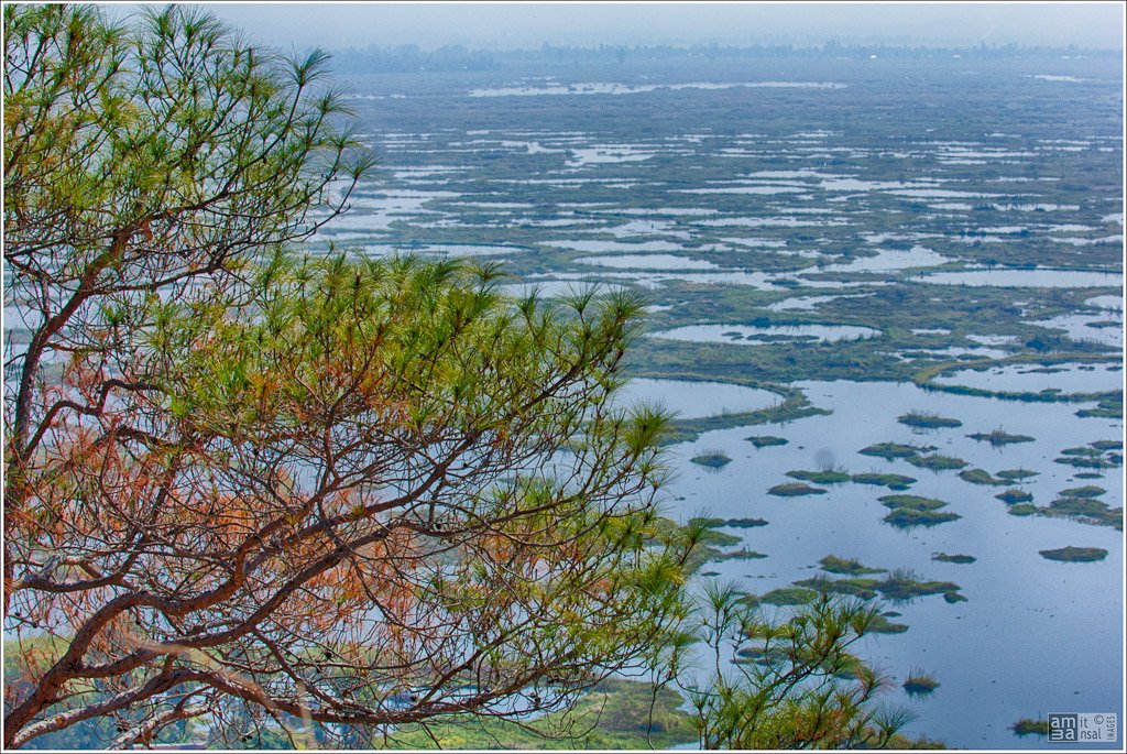 The Floating Islands of Loktak Lake: A Natural Phenomenon Found Only in India