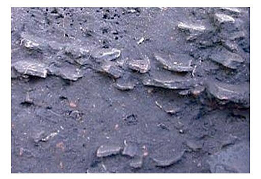 Terra Preta Amazon rainforest soil