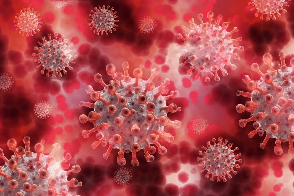 Close-up of virus particles in blood cells