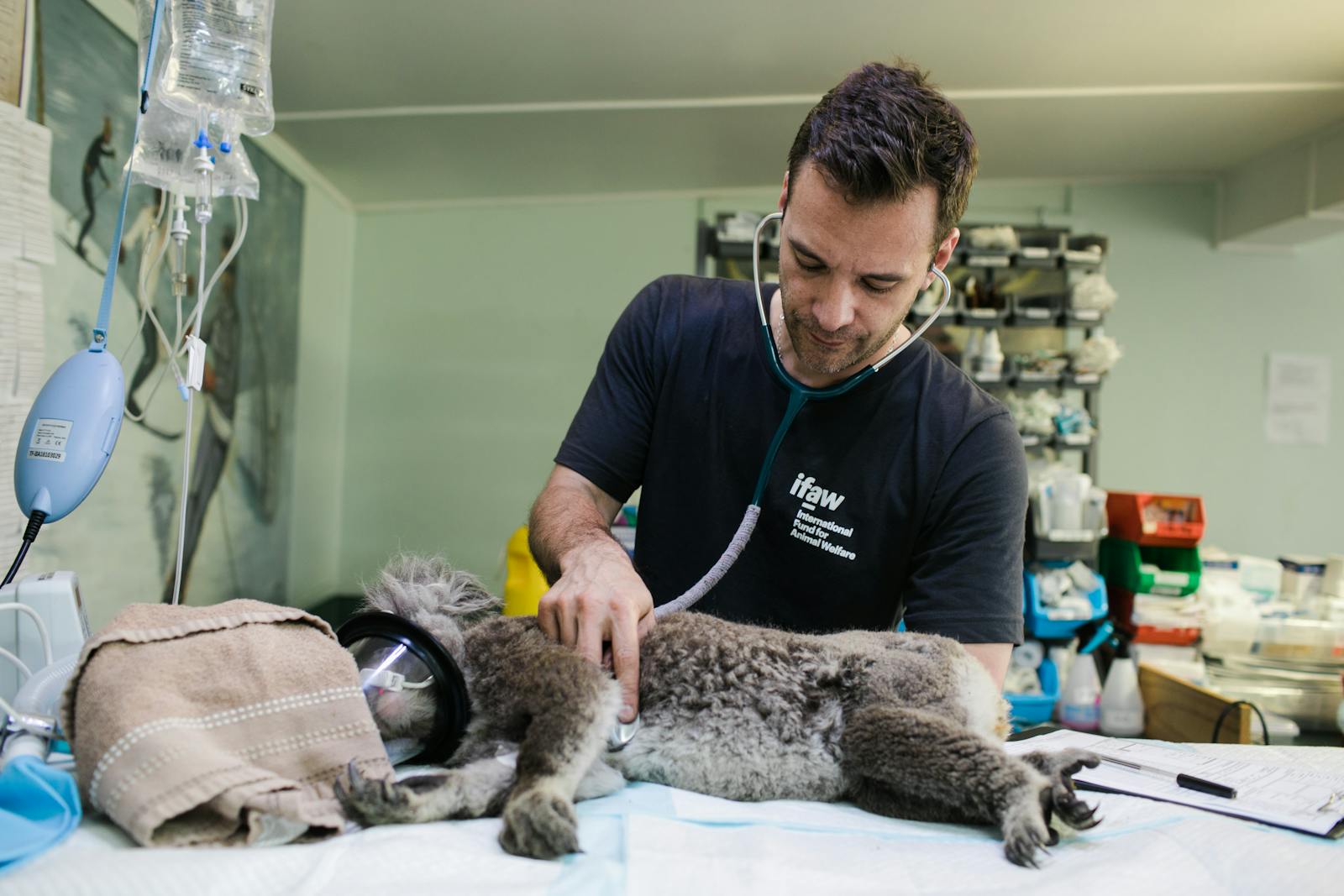 The Secret Lives of Wildlife Veterinarians