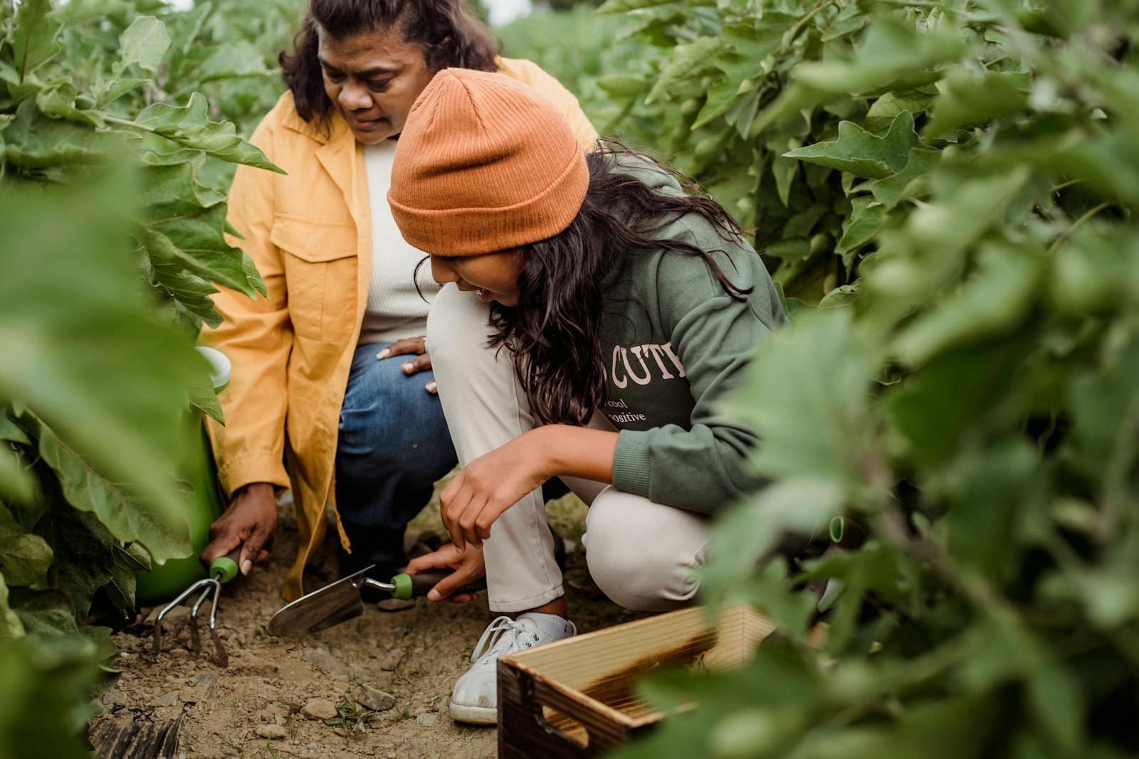How to Launch a Career in Sustainable Agriculture: A Female Perspective