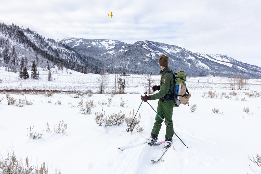 Doug Smith, senior wildlife biologist, watches the Super Cub flying overhead in extremely cold weather.