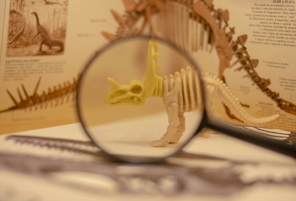 Dinosaur being magnified.