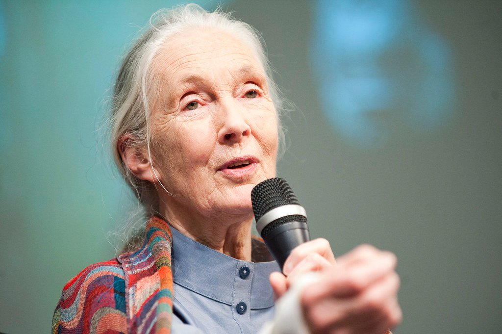 Jane Goodall Visits the World Bank.