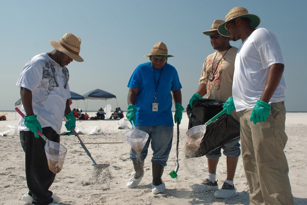Volunteers cleaning up oil on a beach from a spill