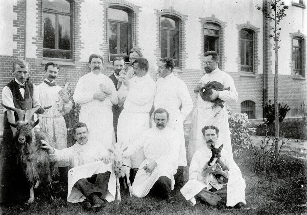 Laboratory animals, medical research, animal transplant