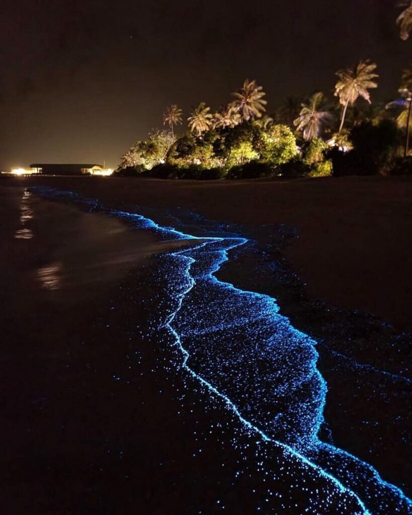 Natural wonders of the world, Vaadhoo Beach