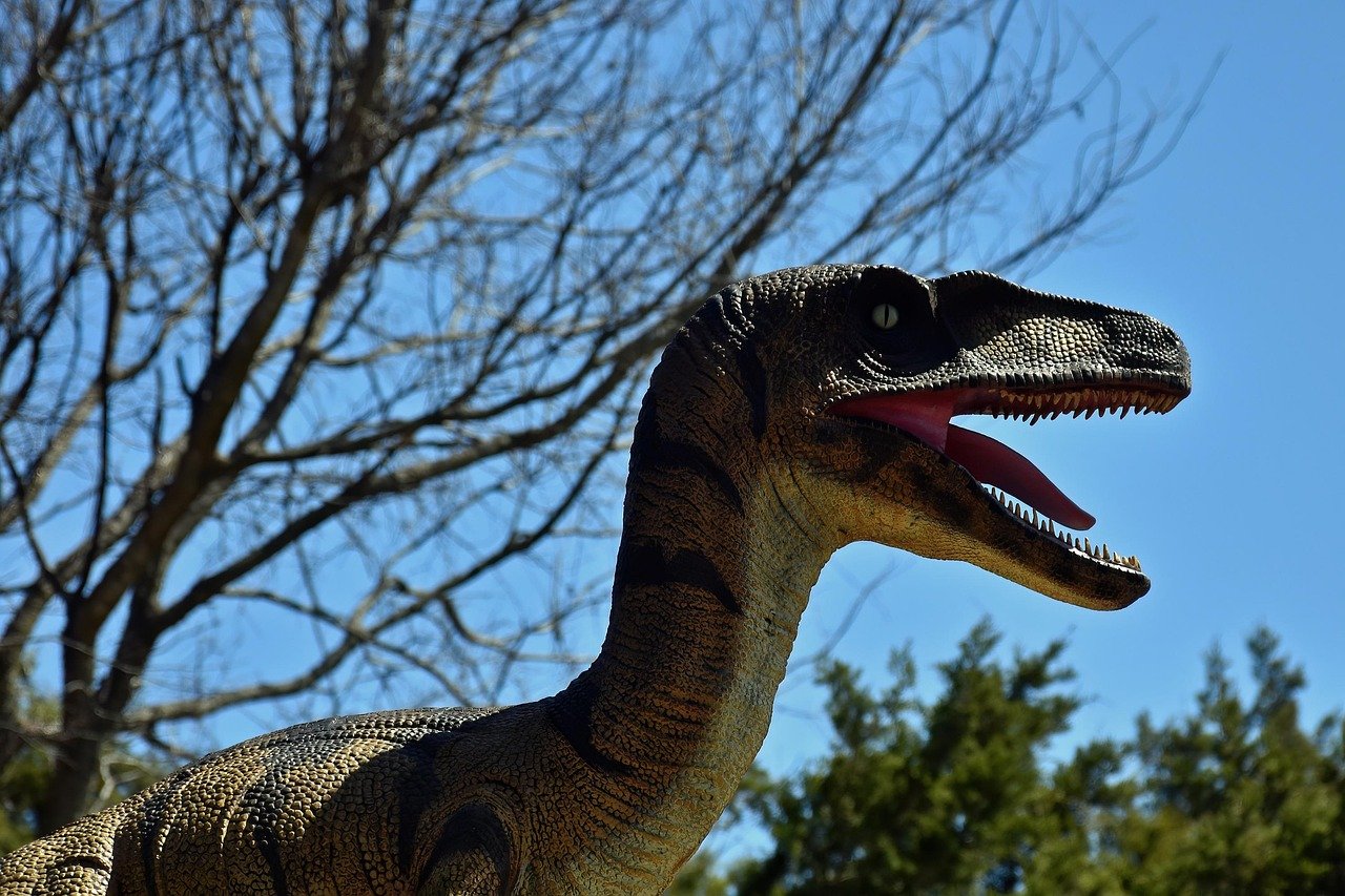 Meet Australovenator Australias Answer to the Velociraptor