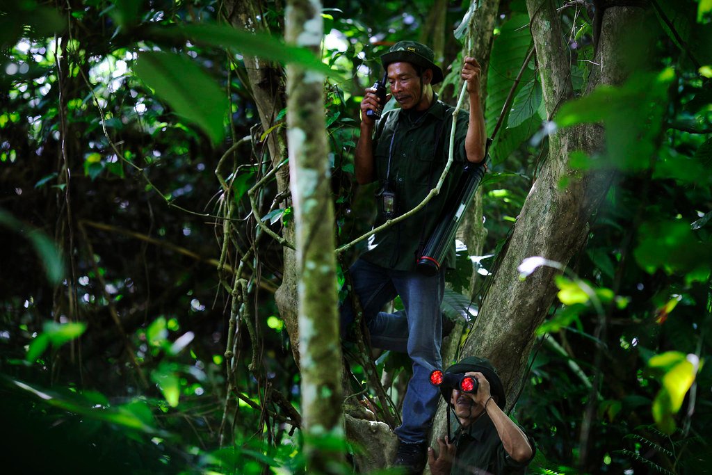 Forest ranger at work in Indonesia.