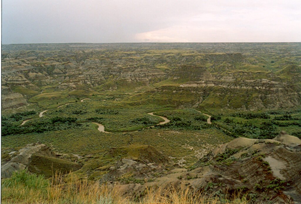 Dinosaur provincial Park