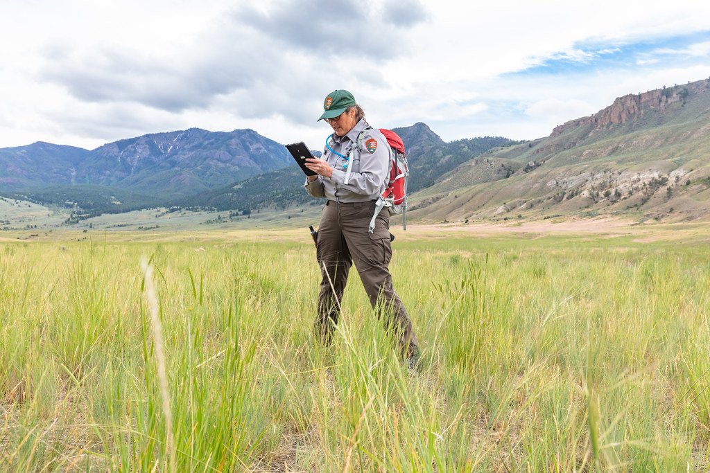 Vegetation ecologist career