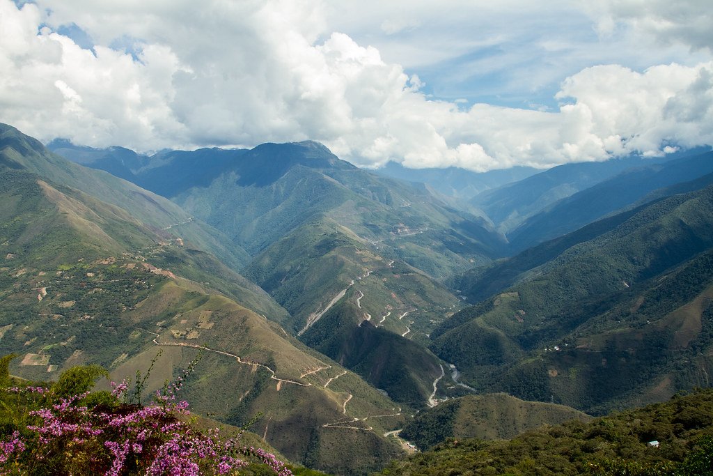 Jungle and Mountains - Coroico, Bolivia.