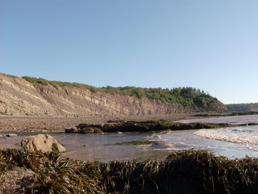 The Joggins Fossil Cliffs Joggins.