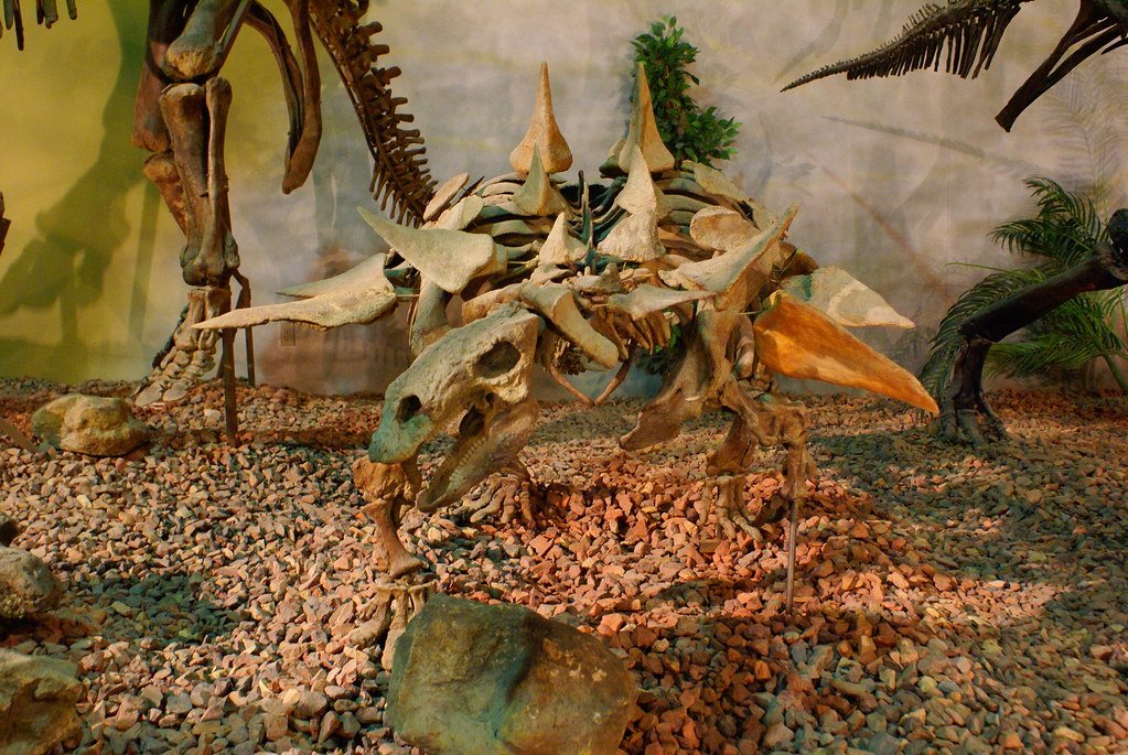 144 Wyoming Dinosaur Center. 