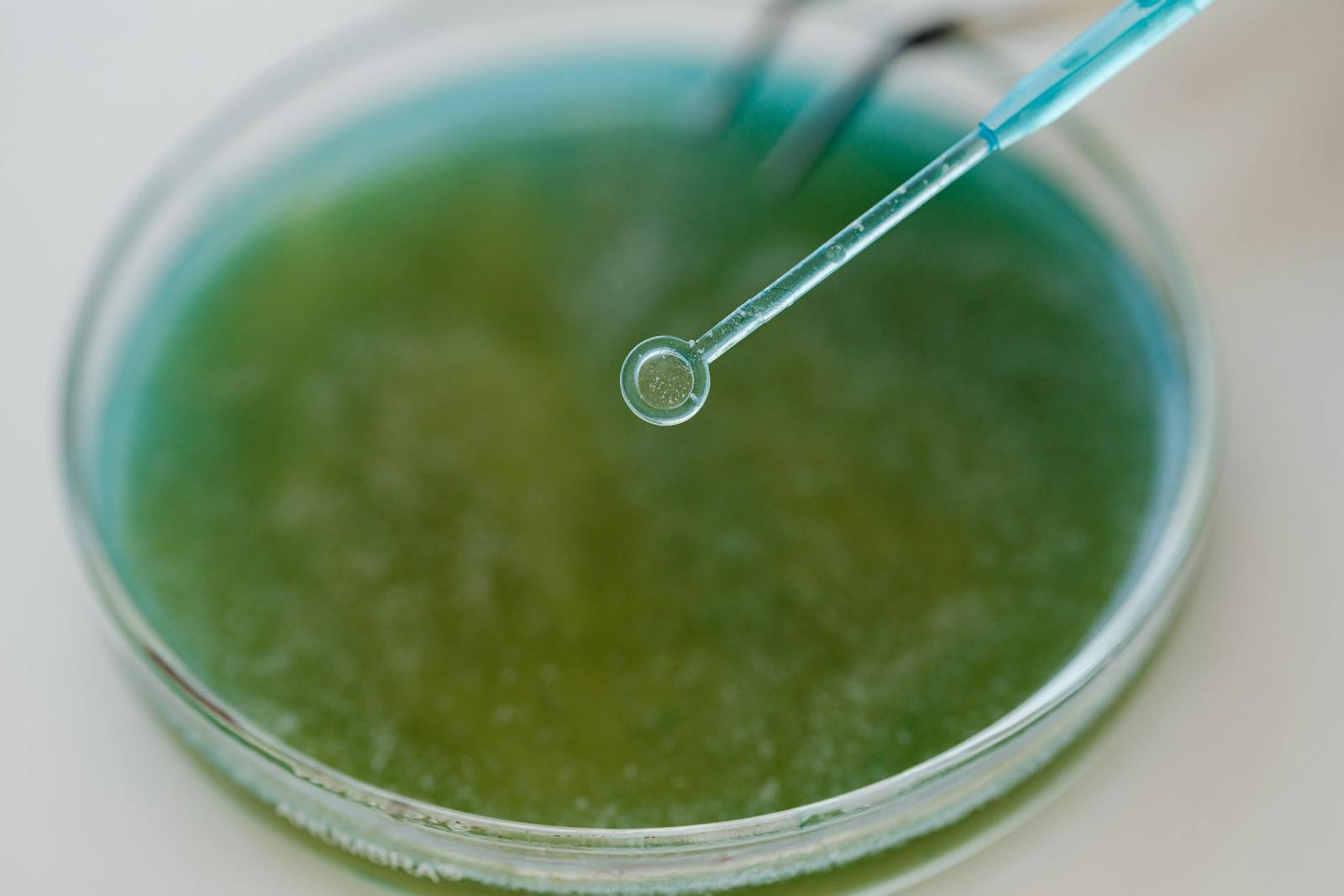 The Breakthrough Work of Dr. Frances Arnold in Enzyme Engineering and Green Chemistry