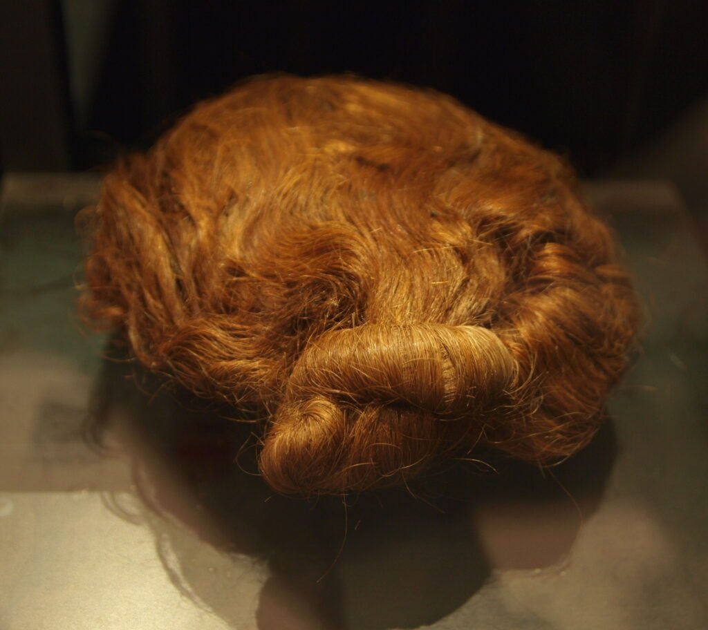 The hair with suebian knot hairstyle of bog body Dätgen Man.