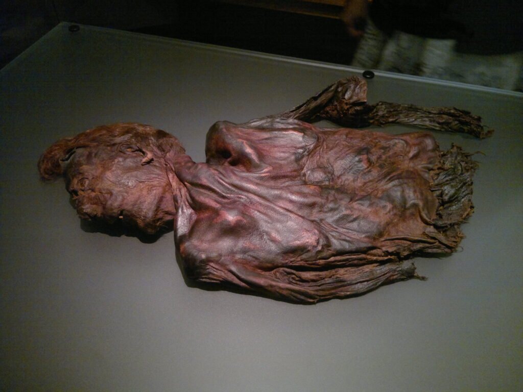 Bog body Clonycavan Man at National Museum of Ireland, Dublin, around 4th or 3rd century BC.