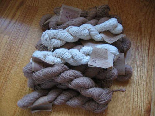 Organic cotton, eco-friendly fashion