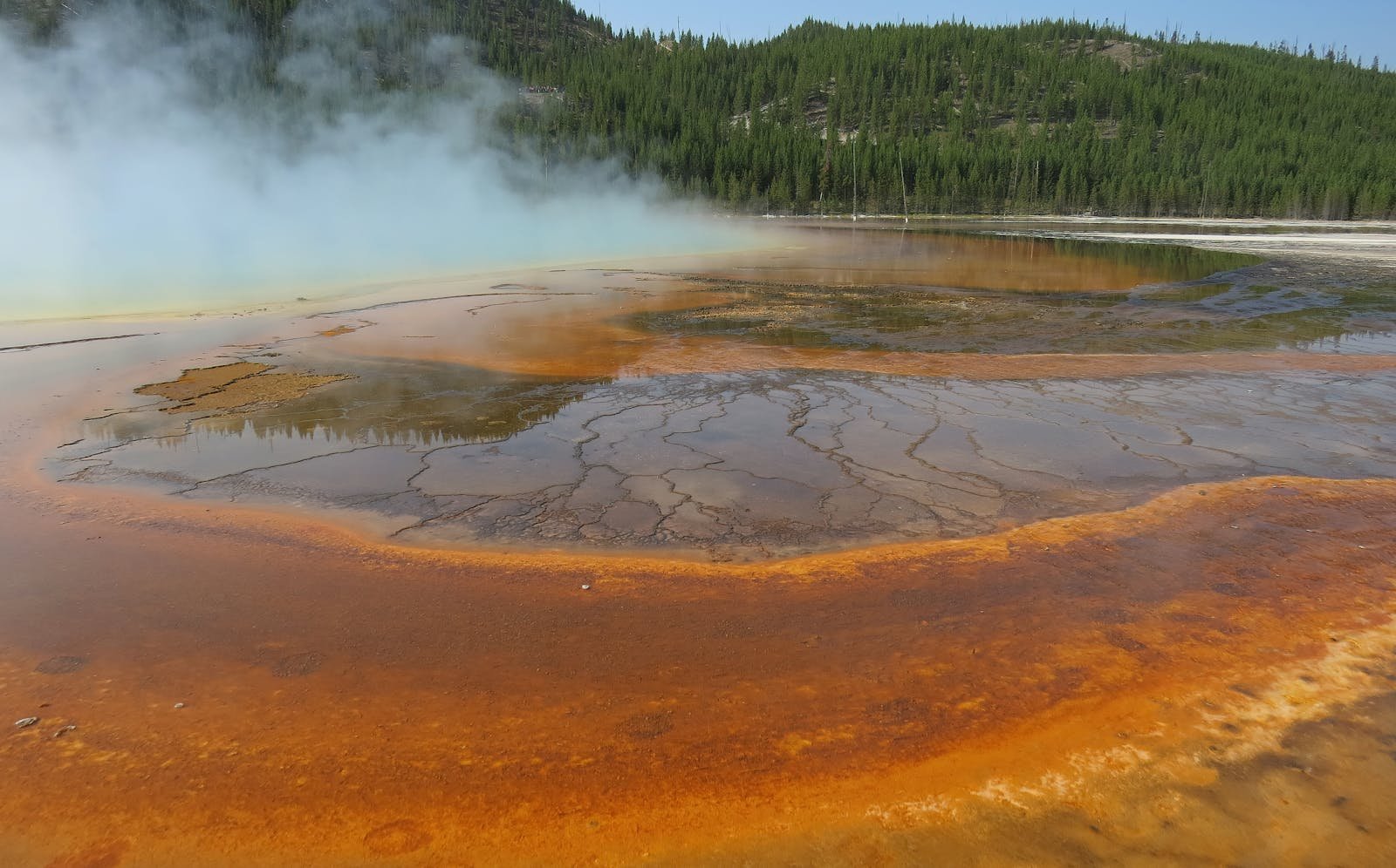 The Fascinating World of Extremophiles: Microbes That Thrive in Extreme Conditions