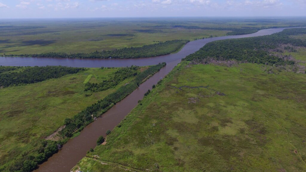 Rimba Raya, an InfiniteEARTH project, is the largest REDD+ project in the world, in terms of avoided emissions delivered to date, protecting nearly 65,000 hectares of peat swamp forest in Central Kalimantan in Indonesian Borneo and avoiding more than 130 million tonnes of carbon emissions.