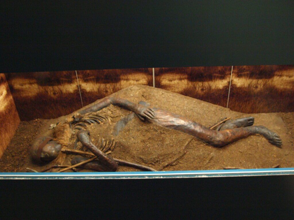 The bog body en:Windeby I a 16 year old boy on display at Archäologisches Landesmuseum en:Gottorf Castle, Schleswig Germany.