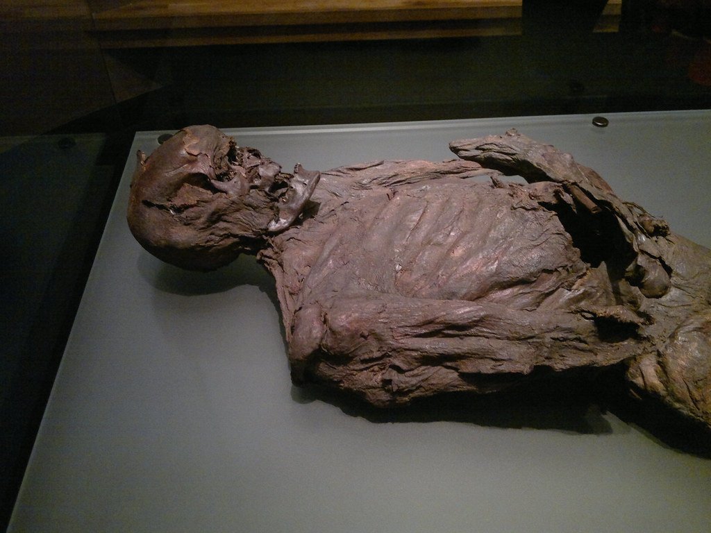 Gallagh Man at the National Museum of Ireland, Dublin.