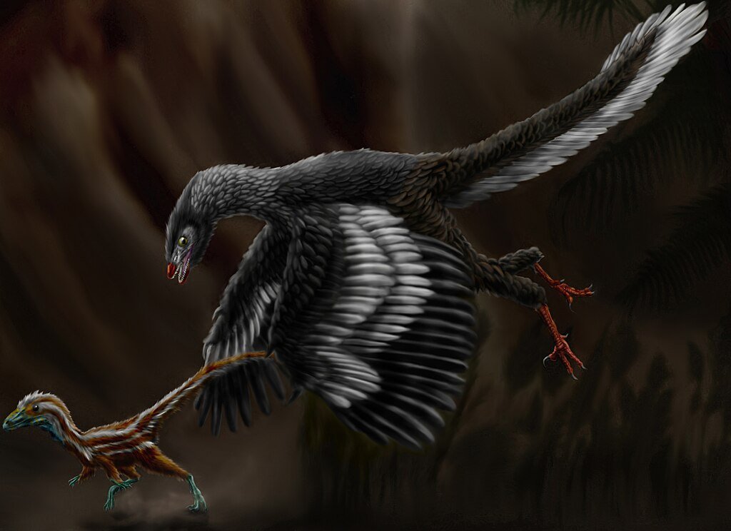 Archaeopteryx lithographica