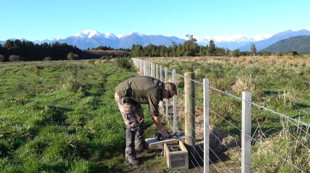 New Zealand Predator Free 2050