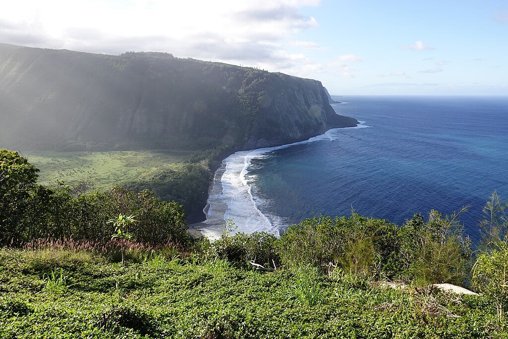 Hawaii Ecosystem