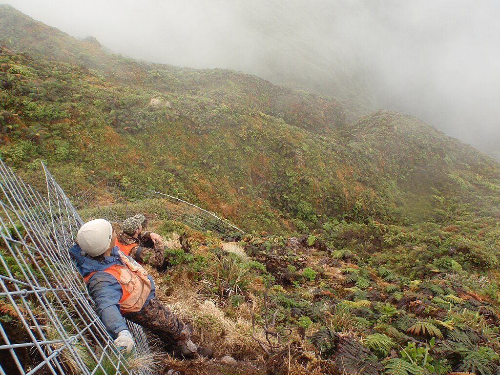 Hawaii ecosystem, invasive species